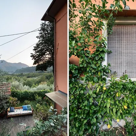 Casetta Di Butia, Mimosa Borgo a Mozzano