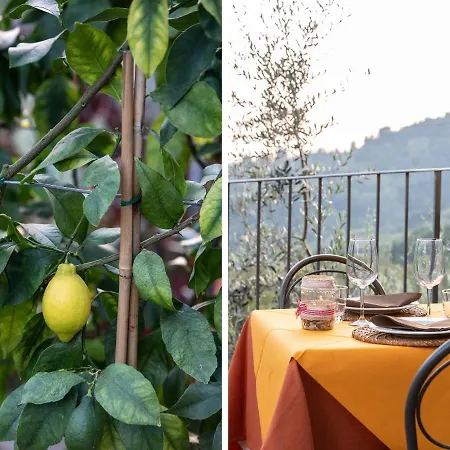 Casetta Di Butia, Mimosa Lejlighed *