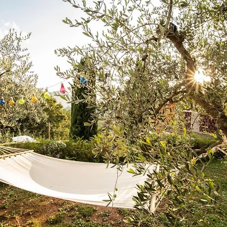 Appartamento Casetta Di Butia, Mimosa Borgo a Mozzano