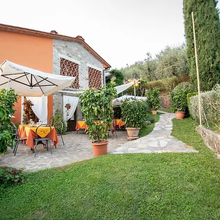 Casetta Di Butia, Mimosa Borgo a Mozzano
