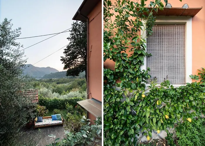 Casetta Di Butia, Mimosa Borgo a Mozzano