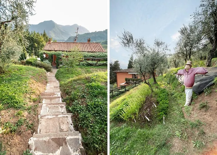 Apartment Casetta Di Butia, Mimosa Borgo a Mozzano