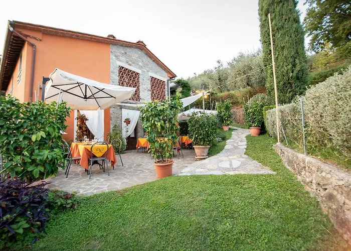 Casetta Di Butia, Mimosa Borgo a Mozzano
